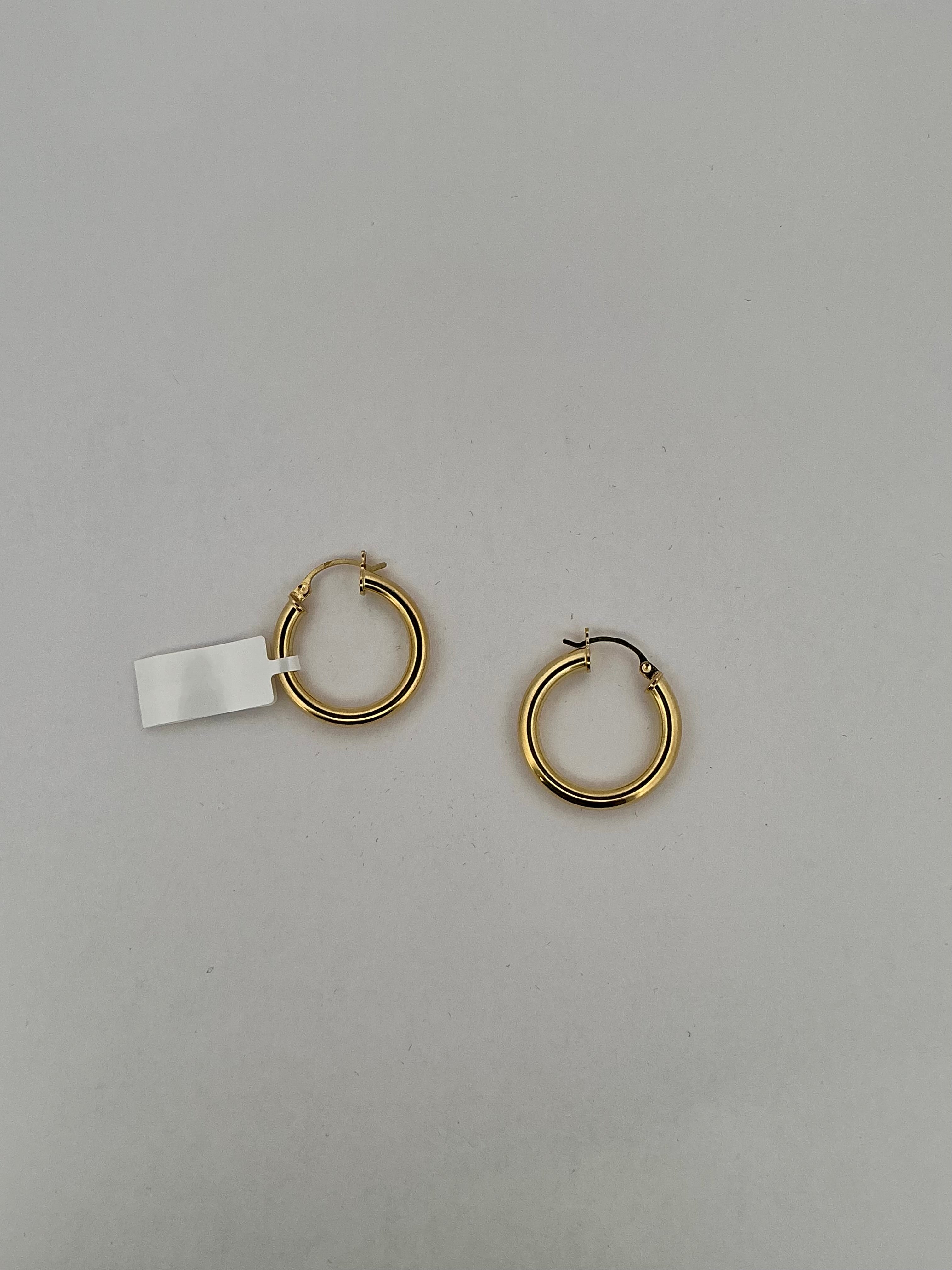 14K Yellow Gold Earnings